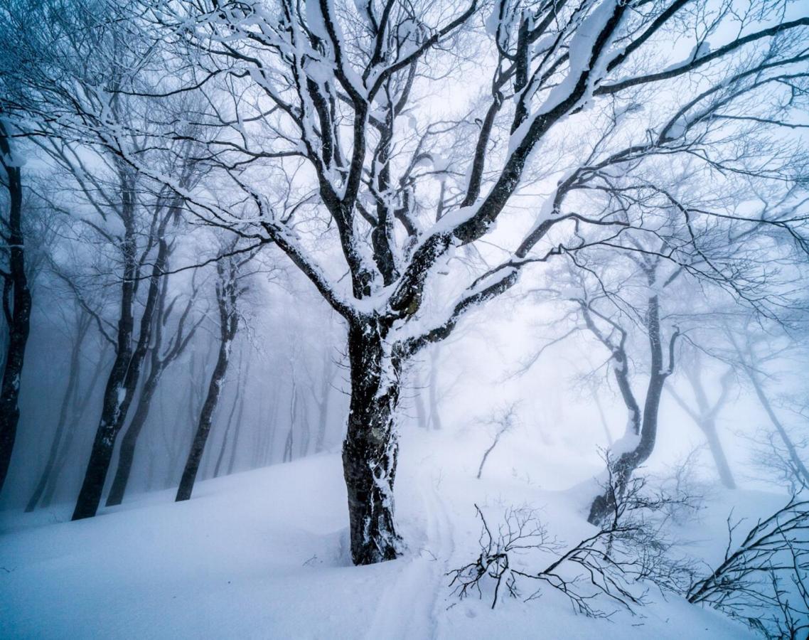 Bed and Breakfast The Joint Hakuba Zewnętrze zdjęcie